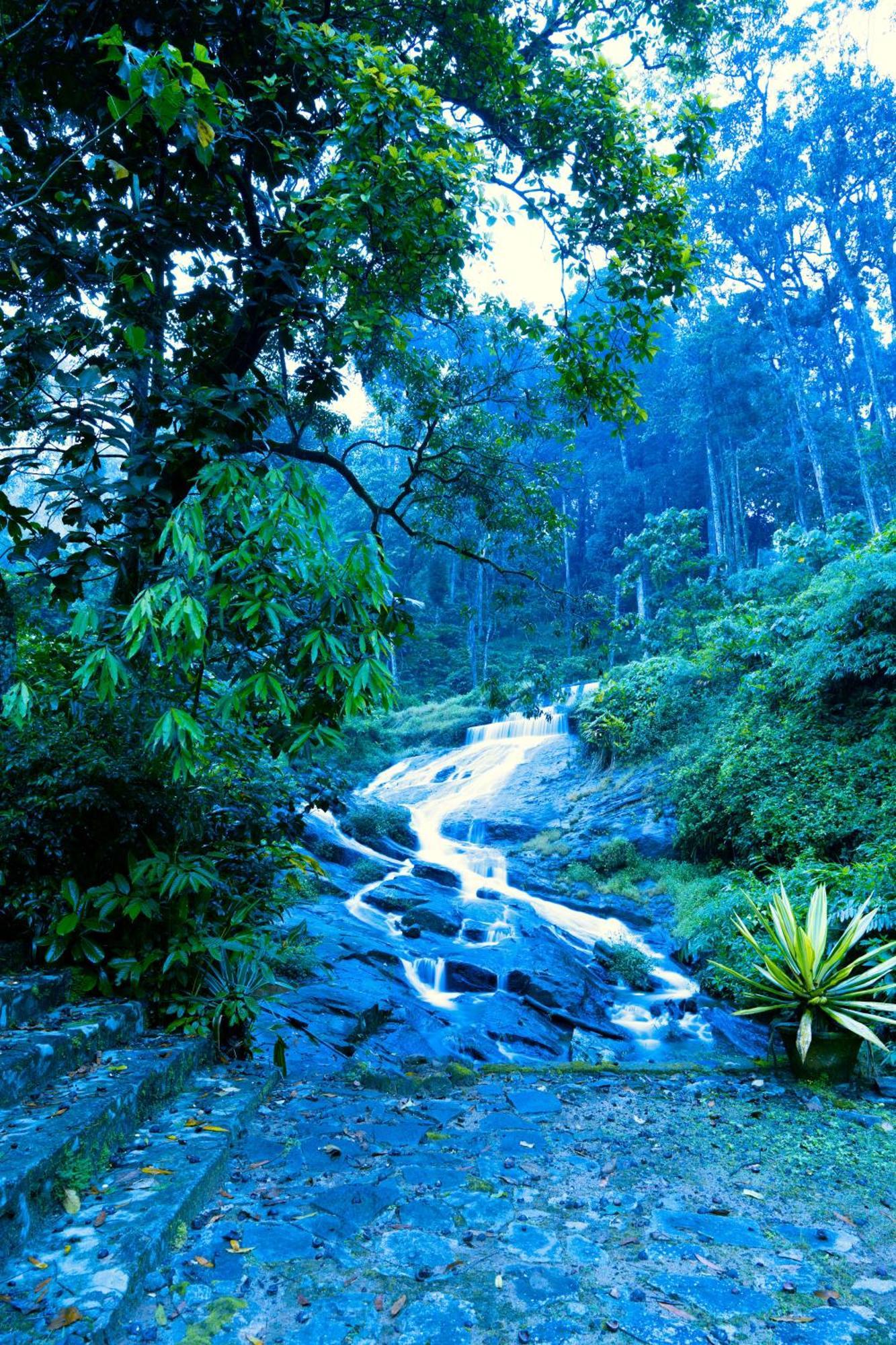 Falling Waters Munnar Exterior photo