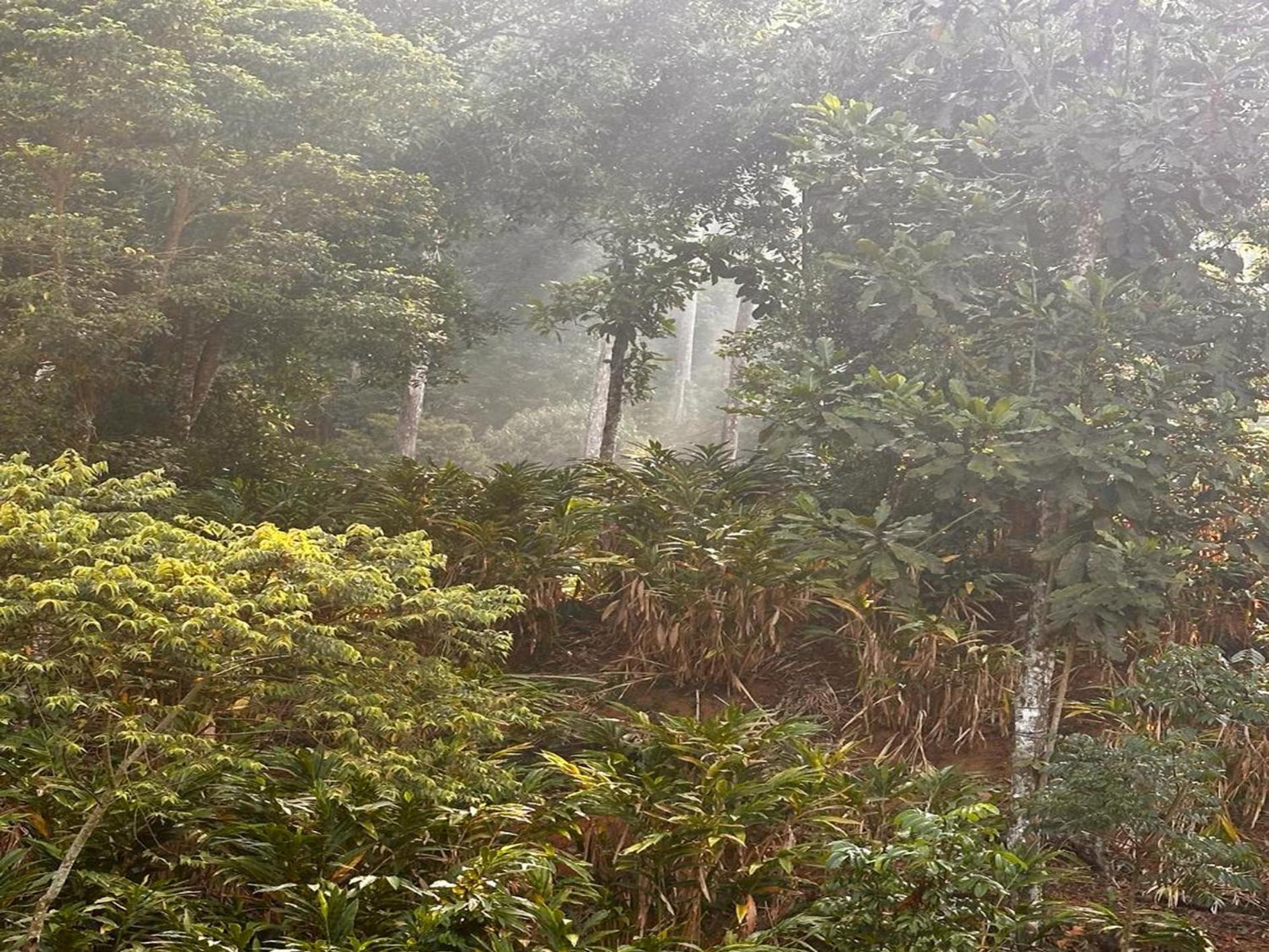 Falling Waters Munnar Exterior photo